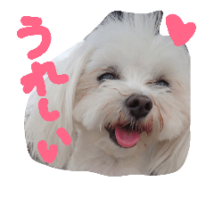 [LINEスタンプ] kawaii yatyuraの画像（メイン）