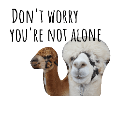 [LINEスタンプ] farm animals