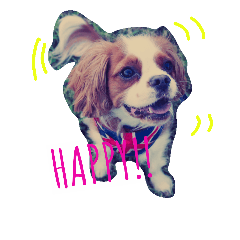 [LINEスタンプ] キャバリア ポルト