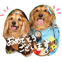 [LINEスタンプ] ミニチュアダックスのラッキーとクロエ