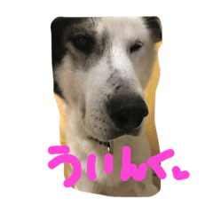 [LINEスタンプ] うる