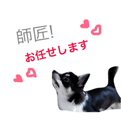 [LINEスタンプ] 世界で一番かわいい！