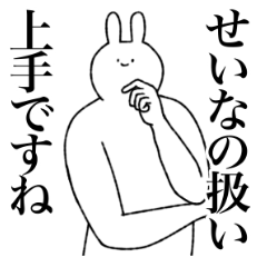 [LINEスタンプ] せいな専用！便利な名前スタンプ