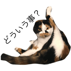 [LINEスタンプ] ミラー3