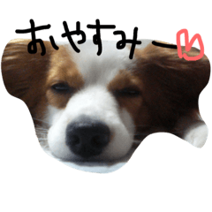 [LINEスタンプ] かわいこちゃんパート2