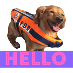 [LINEスタンプ] 愛犬♡凛