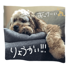 [LINEスタンプ] ほたぽん