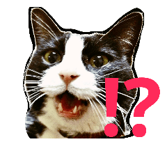 [LINEスタンプ] リンとフク2