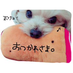 [LINEスタンプ] くうちゃん。