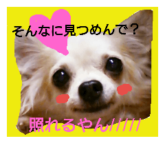 [LINEスタンプ] リュウちゃん