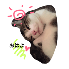 [LINEスタンプ] UME ねこ生活①