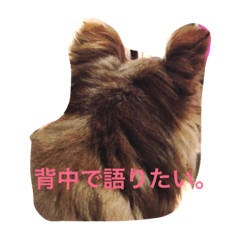 [LINEスタンプ] チワワの小町♪日常編2