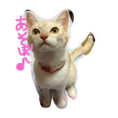 [LINEスタンプ] ネコ じゅりあ