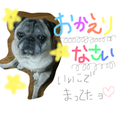 [LINEスタンプ] pet in family