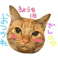 [LINEスタンプ] みーちゃろーのご挨拶