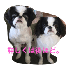 [LINEスタンプ] たまごとアッコのきちんと挨拶