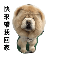 [LINEスタンプ] liuhoohoo