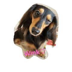 [LINEスタンプ] TEDMile