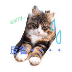 [LINEスタンプ] おフェイさんのつぶやきスタンプ