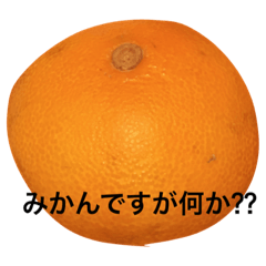 [LINEスタンプ] mikantati