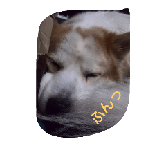 [LINEスタンプ] robechan
