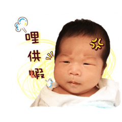 [LINEスタンプ] Feathers, neck feathers, a diary