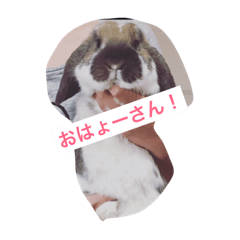 [LINEスタンプ] くも＆でーる