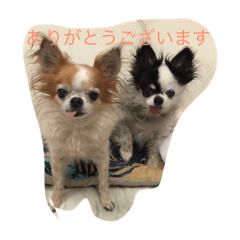 [LINEスタンプ] ココファミリー
