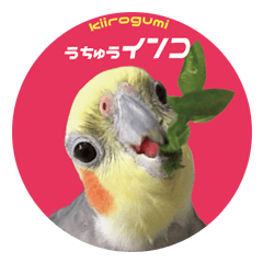 [LINEスタンプ] 宇宙インコ（オカメの親子）
