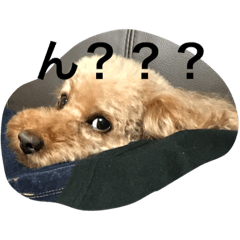 [LINEスタンプ] miiiiichu