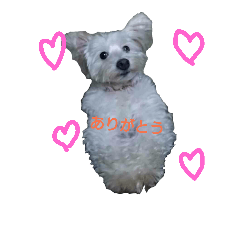 [LINEスタンプ] coco＆may