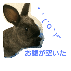 [LINEスタンプ] うさぎもみちゃん 2