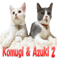 [LINEスタンプ] Komugi ＆ Azuki 2