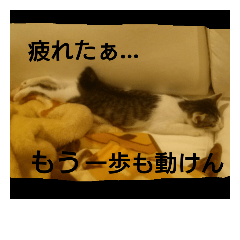 [LINEスタンプ] ワビサビの日常