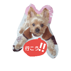 [LINEスタンプ] kswaii dog3