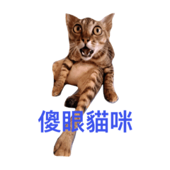 [LINEスタンプ] little tiger and little master