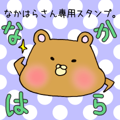 [LINEスタンプ] なかはらさん専用スタンプの画像（メイン）