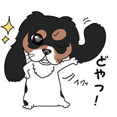 [LINEスタンプ] 日常使える！関西弁のキャバリア