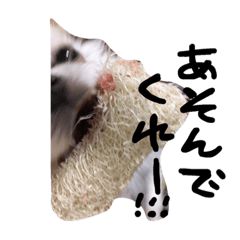 [LINEスタンプ] おもも