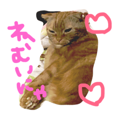 [LINEスタンプ] catr