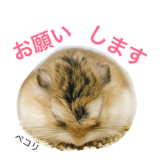 [LINEスタンプ] はむハム