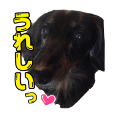 [LINEスタンプ] MAX001