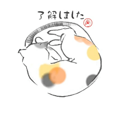 [LINEスタンプ] わりと便利な猫スタンプ