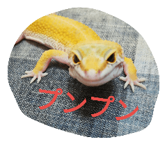[LINEスタンプ] ひょうもんとかげもどきのスタンプです。