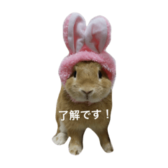 [LINEスタンプ] うさぎ love