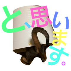 [LINEスタンプ] ねこのはるです 3〜会話ver〜