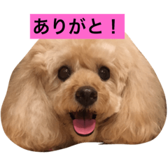 [LINEスタンプ] くう姫