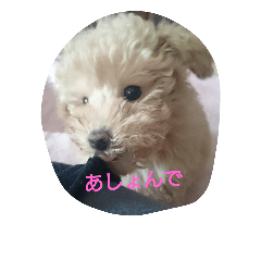 [LINEスタンプ] 赤ちゃんうめこ