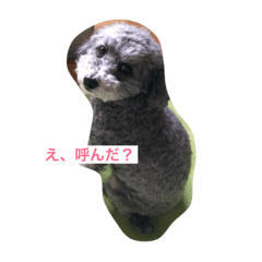 [LINEスタンプ] ちろーず