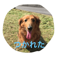 [LINEスタンプ] ぺぺらっちょとクロの日常編